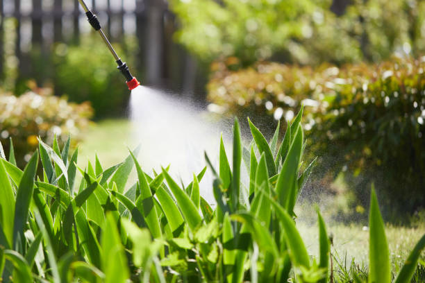 24/7 Emergency Ant Control experts in Rochester, IN