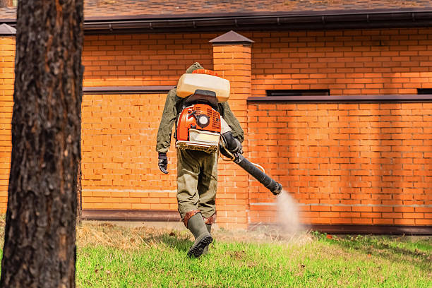 Top rated local Ant Control specialists in Rochester, IN